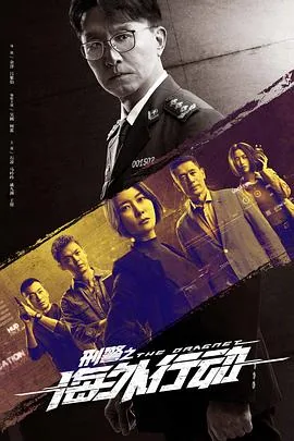 刑警之海外行动宋成功结局