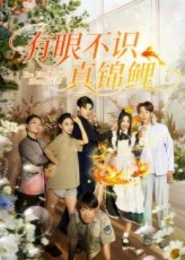 有眼不识真锦鲤免费阅读全文小说