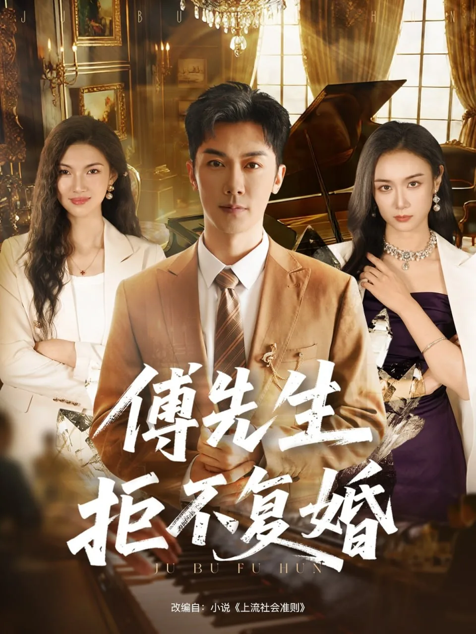 傅先生拒不复婚电视剧