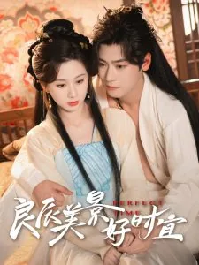 良辰美景好时宜男主扮演者姓名