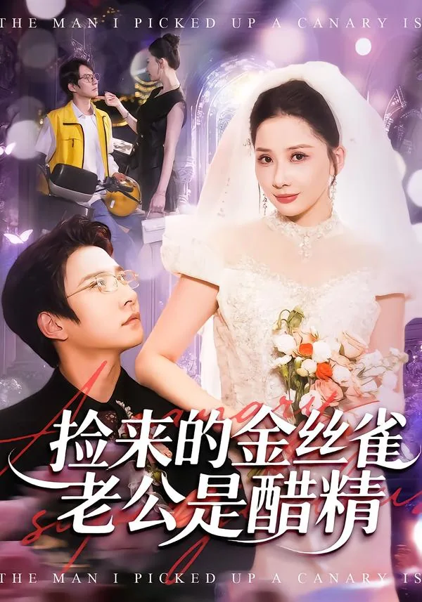 捡来的金丝雀过于黏人txt下载
