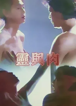 灵与肉剧集分集介绍