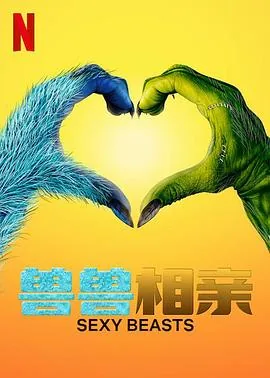 性感野兽英文翻译