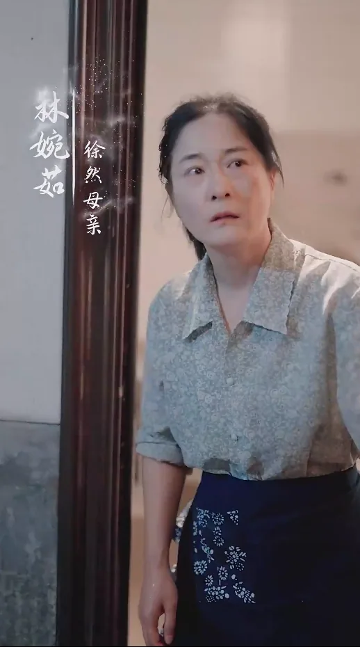 谁怜天下慈母心电视剧全集免费