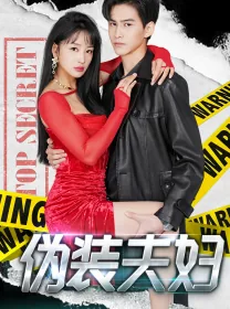 伪装夫妇日剧动漫全集