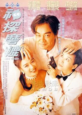 神探磨辘大肚子第几集出来