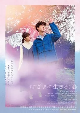 夹缝中生存的小花