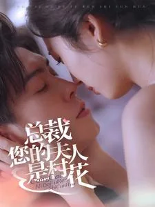总裁您的夫人是村花的小说