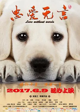 忠爱无言第二部免费播放