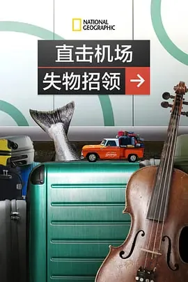 直击机场失物招领怎么写