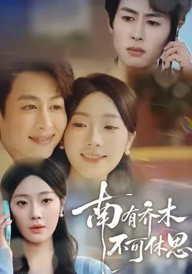 南有乔木,不可休思出自哪里