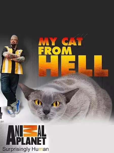 家有恶猫第一季有几集