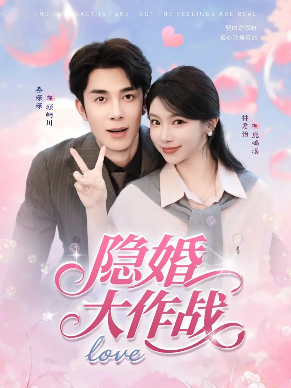 隐婚大作战电视剧