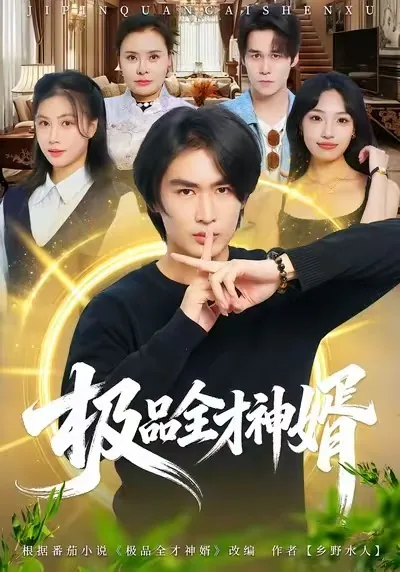 极品全才神婿人物介绍