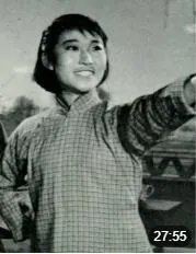 电视剧媳妇来了