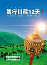 驾行川藏12天纪录片西瓜在线看