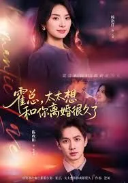 霍总太太想和你离婚很久了大结局