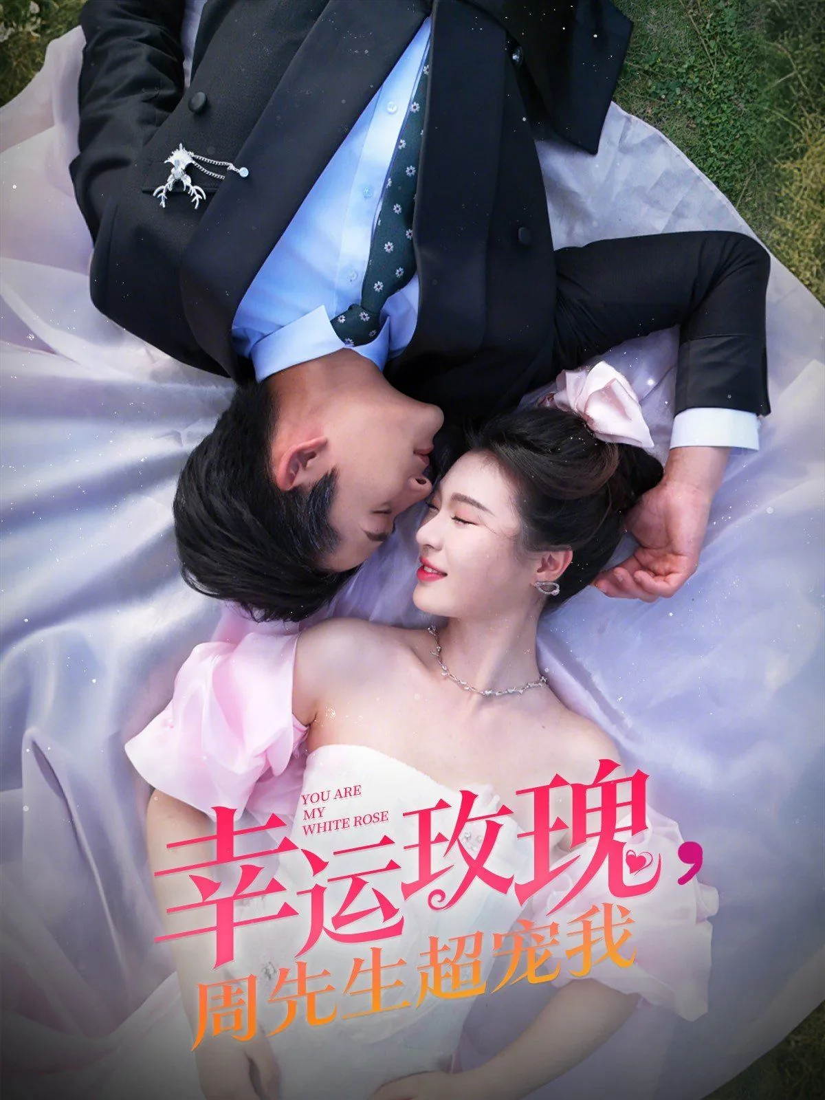 幸运玫瑰周先生超宠我别名叫什么