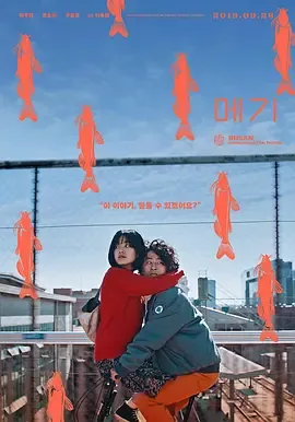 鲶鱼美琪x光照片