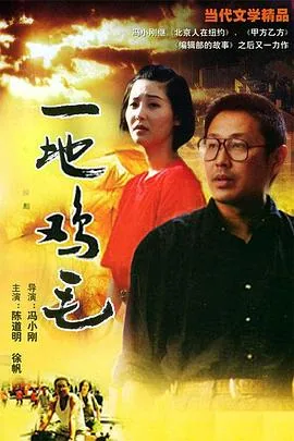 一地鸡毛这本书讲什么