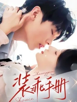 装乖手册兰岚小说在线阅读