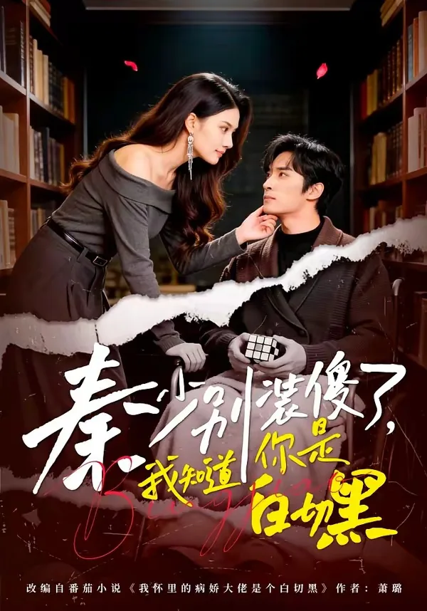 秦少别装傻了,我知道你是白切黑免费阅读