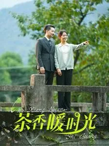 茶香暖时光30到40集
