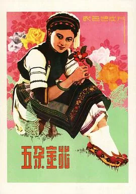 五朵金花开过什么数字