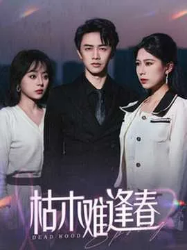 枯木难逢春比喻男女关系