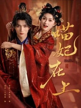 喵妃在上短剧全集高清视频