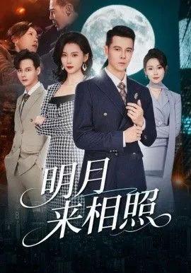 明月来相照款冬完结
