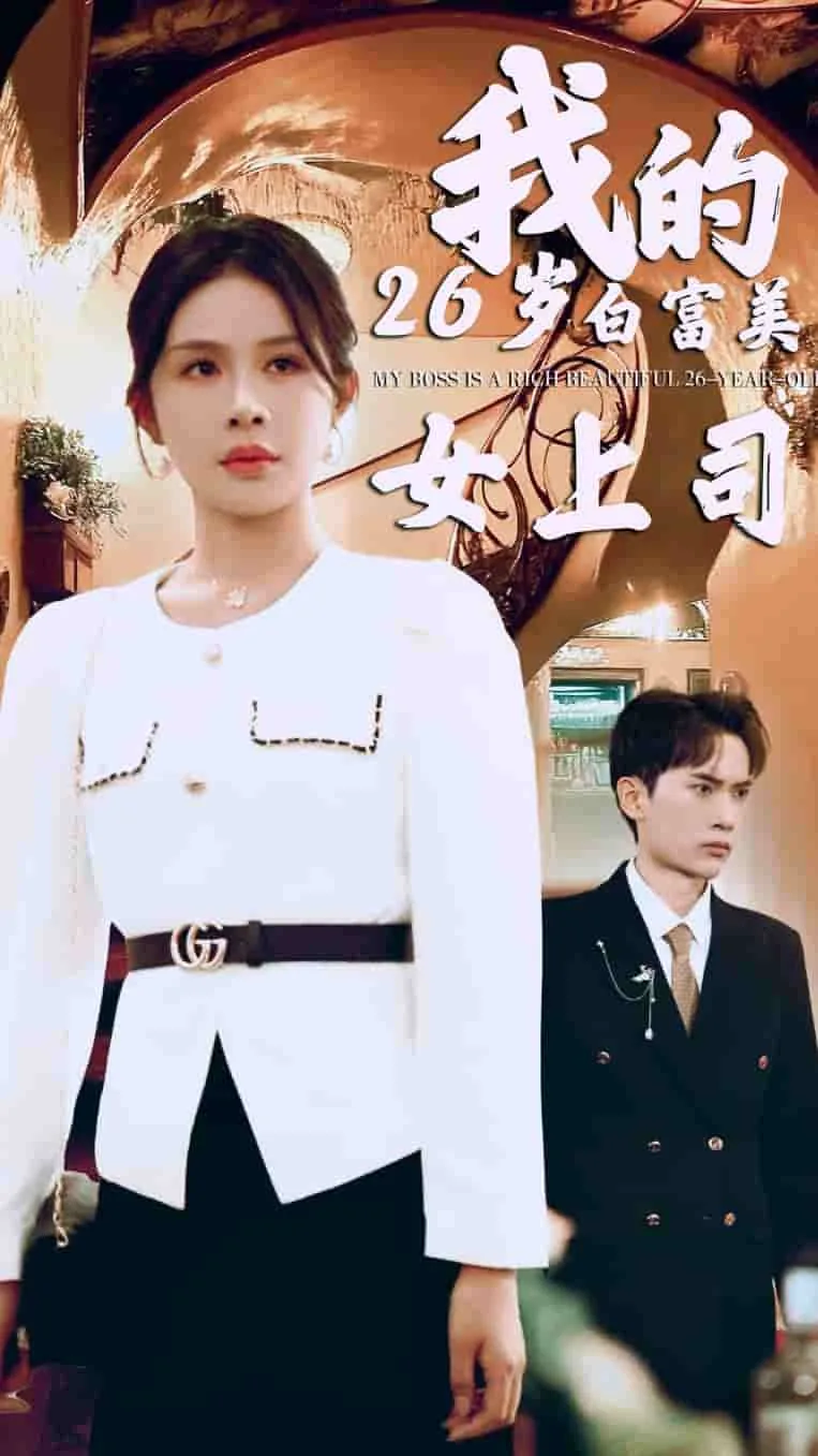 我的26岁美女上司电视剧