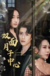 双面月子中心剧情简介