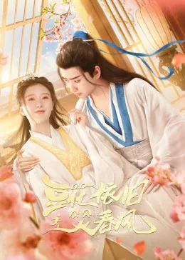 豆花依旧笑春风在线免费观看