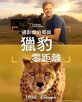 摄影师贝尔蒂与猎豹零距离哪个好