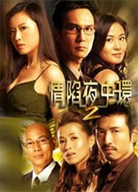 情陷夜中环2