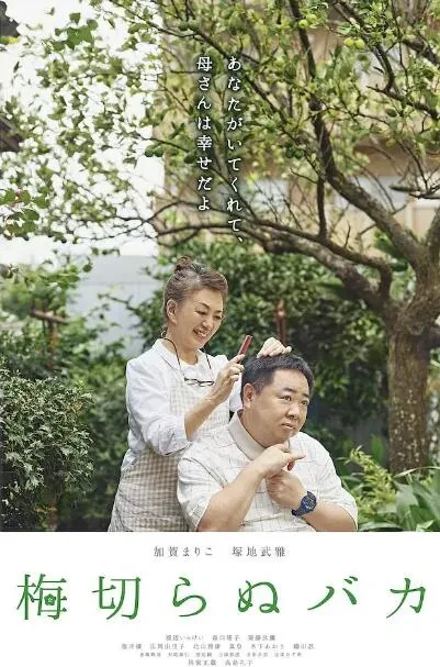 不砍树木