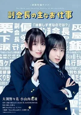 副会长的主要工作内容简述