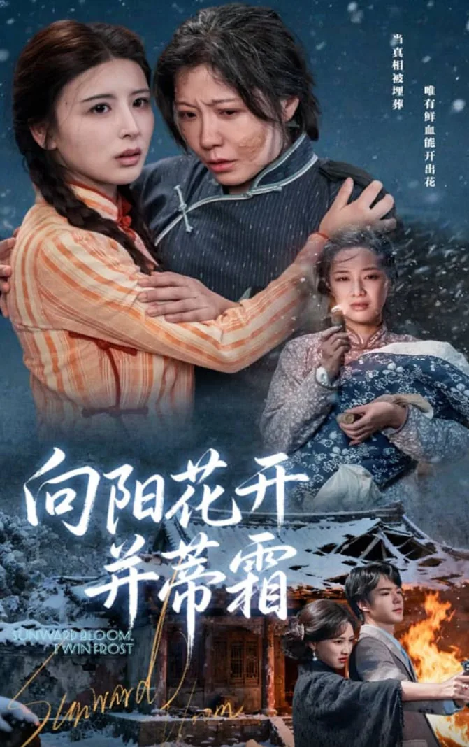 向阳花开并蒂霜短剧