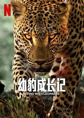 人类幼崽成长记视频