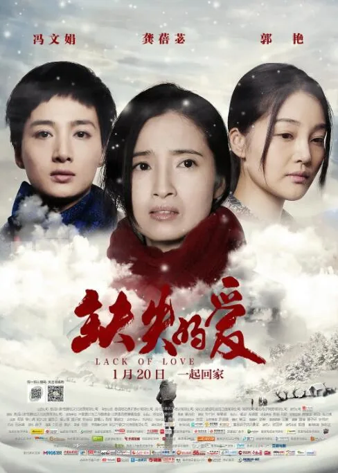 缺失的爱类似的小说