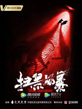 扫黑风暴女局长贺云扮演者