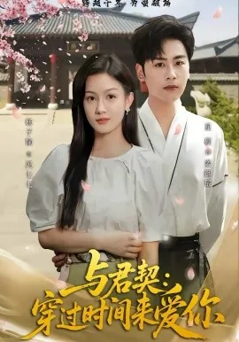 与君契:穿过时间来爱你