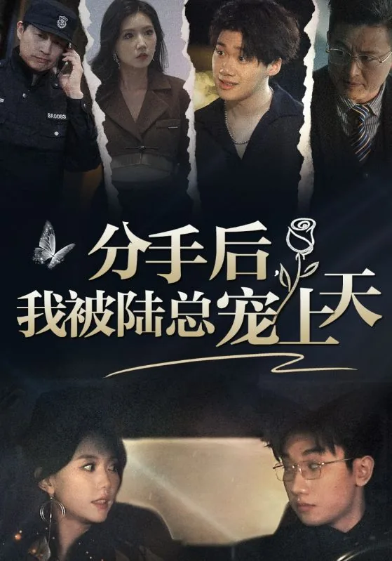 分手后我被大佬宠上天 小说