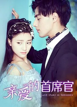 亲爱的首席官小说免费阅读