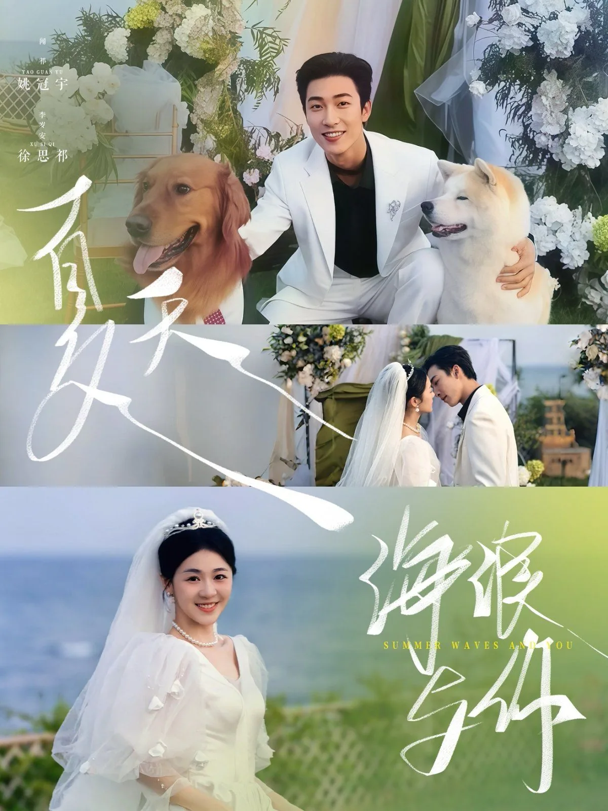 夏天海浪与你电视剧免费观看