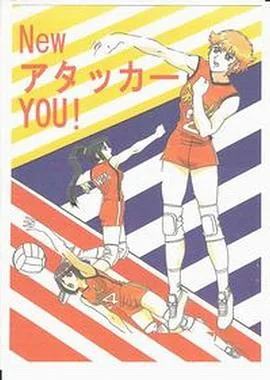 胜利女排动画片中文版