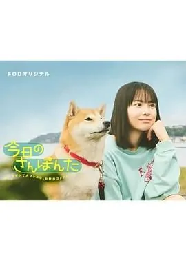 今日份散步随拍