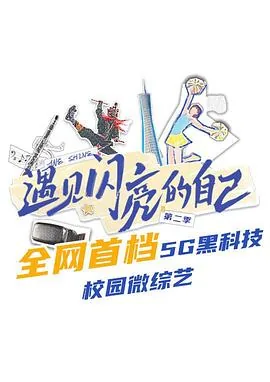遇见闪亮的自己 第二季讲的什么