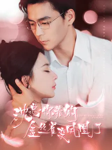 沈总你养的金丝雀变凤凰了短剧免费观看